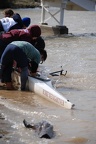 Chicago swamped4